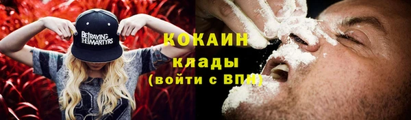 сатива Арсеньев