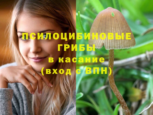 сатива Арсеньев