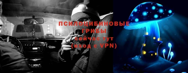 Альфа ПВП Армянск