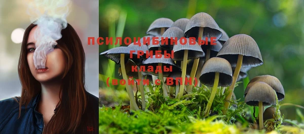 mix Аркадак