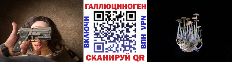 Галлюциногенные грибы Psilocybe  omg рабочий сайт  Мурино  закладки 