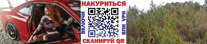 Марихуана SATIVA & INDICA darknet состав Мурино